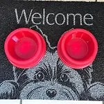 Apartamento Completo Com 3 Quartos